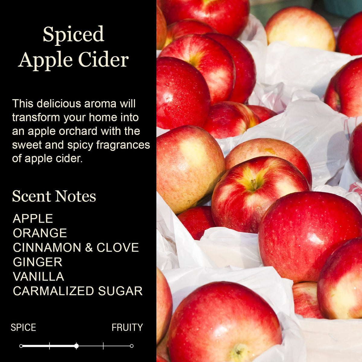 Spiced Apple Cider Soy Candle | Fall Apple Orchard Home Fragrance