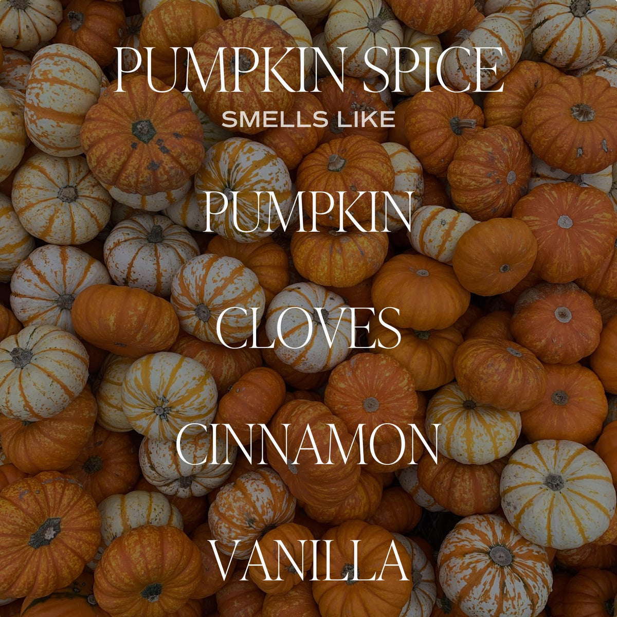 Sweet Water Decor Hello Fall Candle, 9oz Amber Jar, Autumn Scents for Home