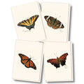 Butterfly Assortment Greeting Cards