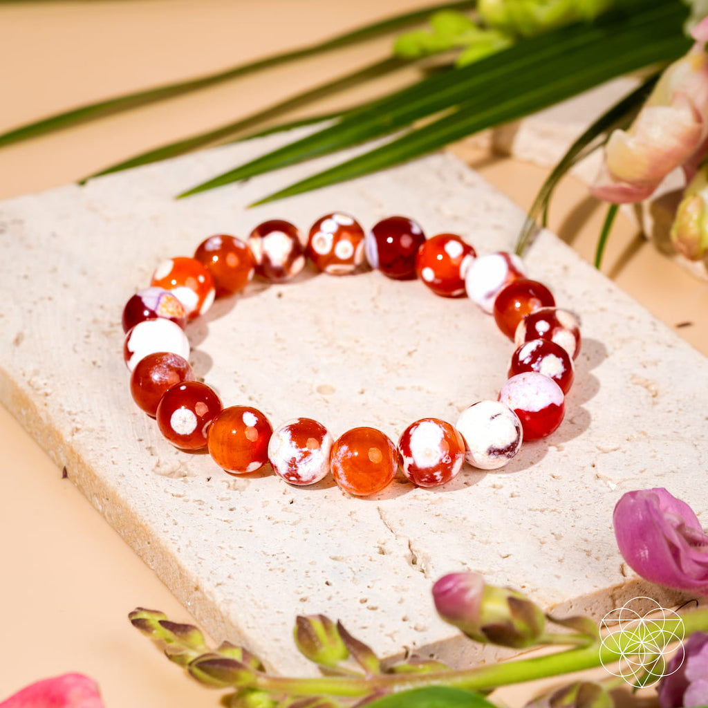 Carnelian Orca Agate Bracelet | Feminine Force