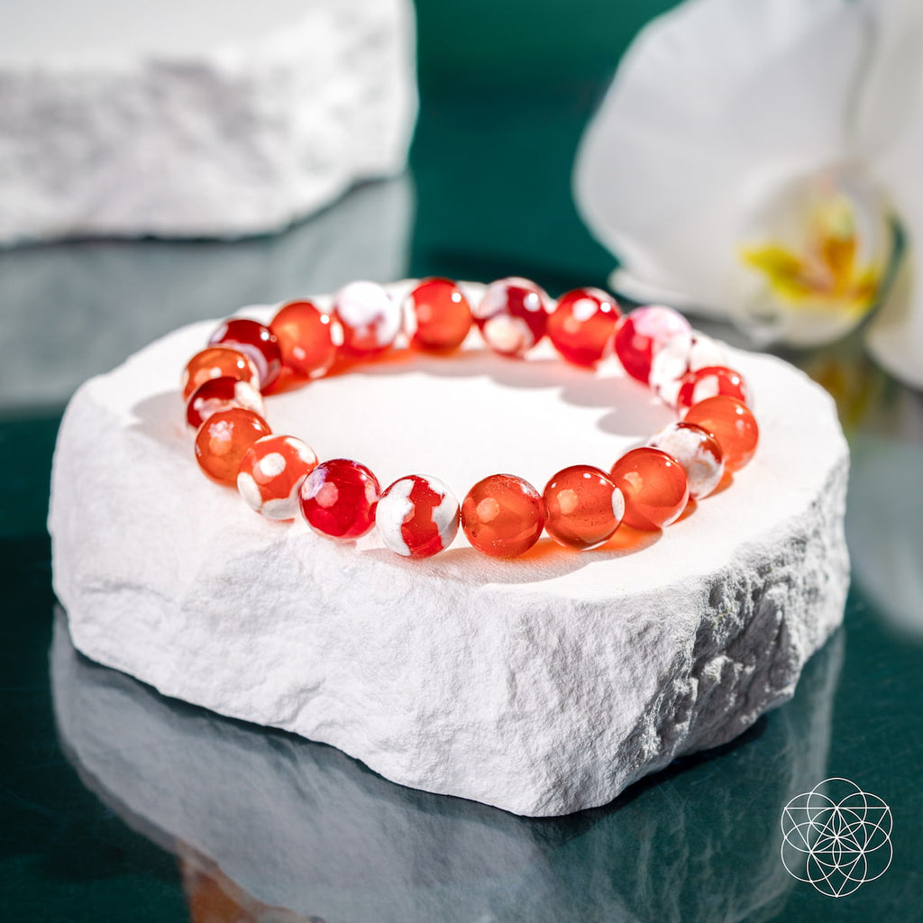 Carnelian Orca Agate Bracelet | Feminine Force