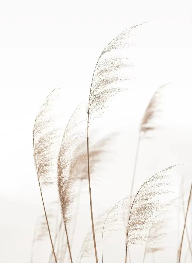 Boho Pampas Grass & Coastal Landscape Canvas Print | Minimalist Wall Art Poster