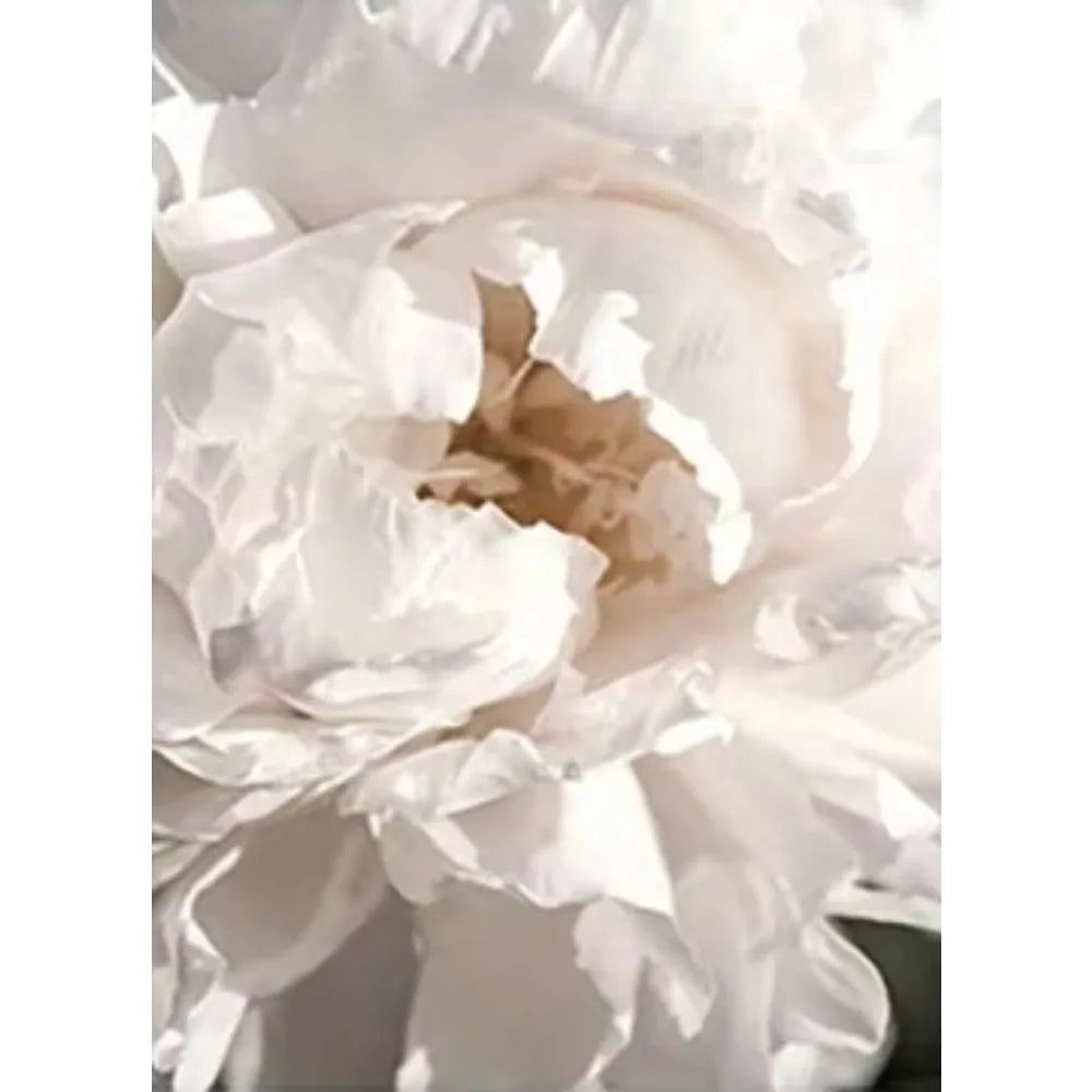 Minimalist Floral Botanical Canvas Print — Single or 3-Piece Set