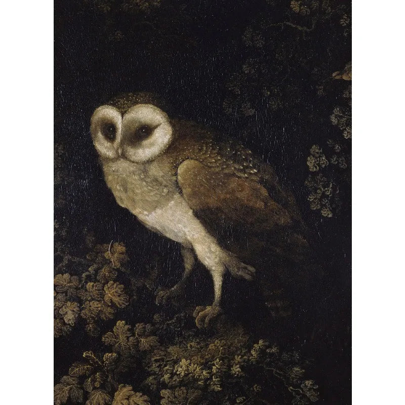 Gothic Castle Wall Art | Dark Academia Crow, Owl & Wildflowers Canvas Print