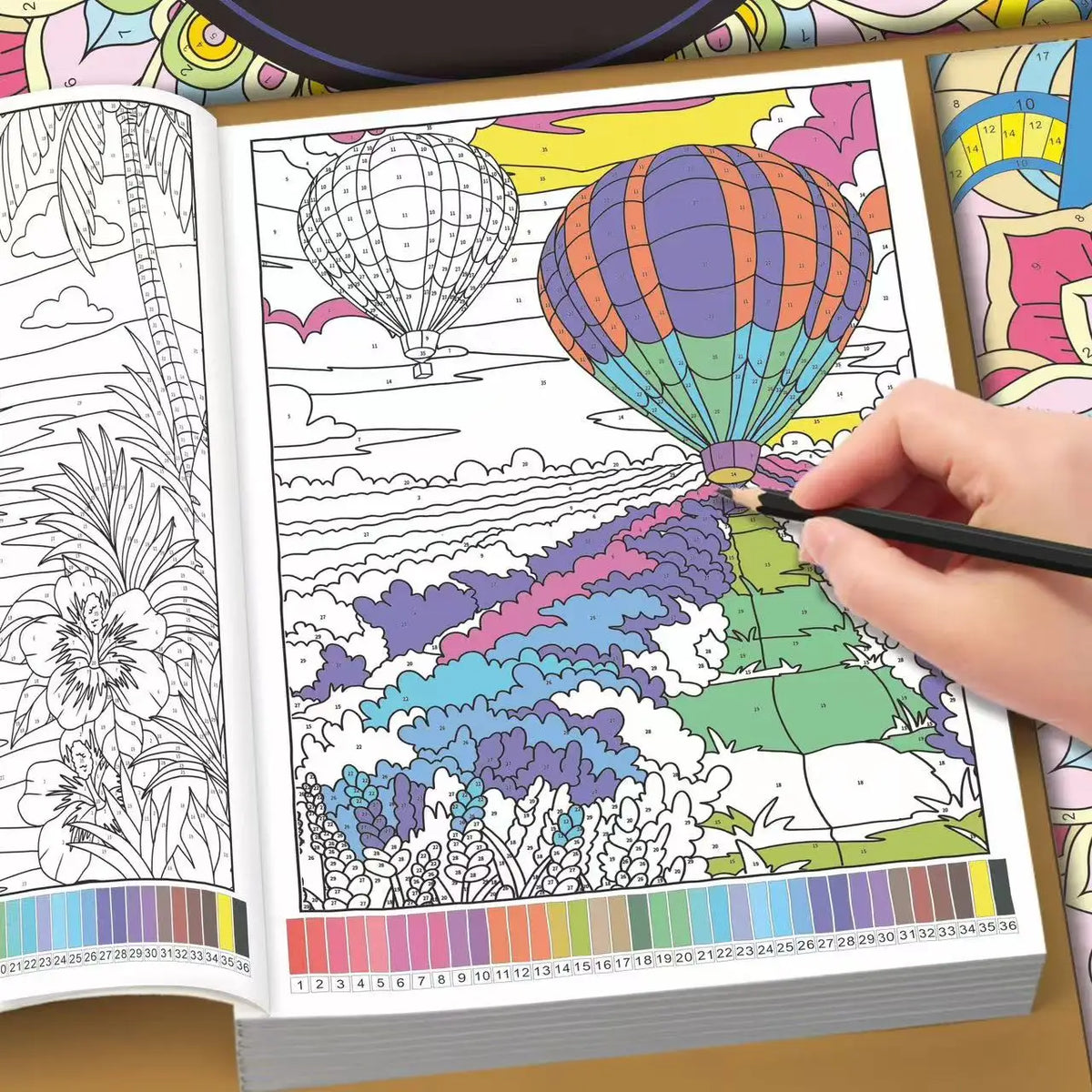 Floral & Nature Color By Number Book – 32 Pages for Adults