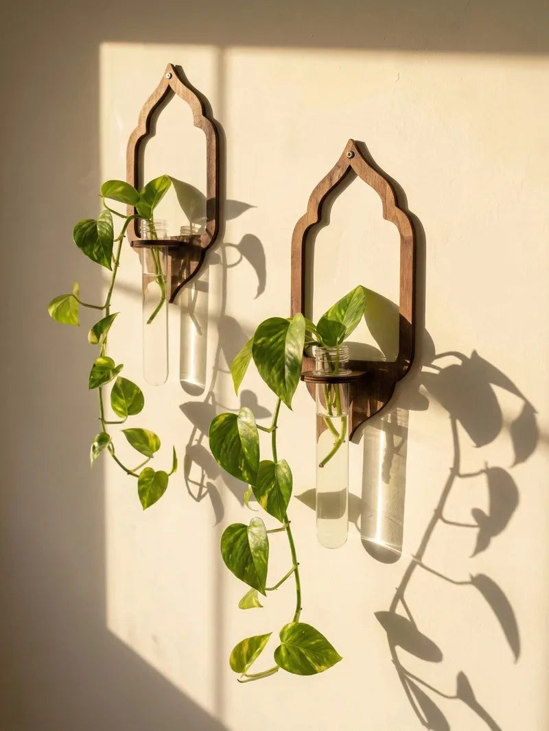 Wooden Wall Propagation Station | Sun, Jellyfish & Lantern