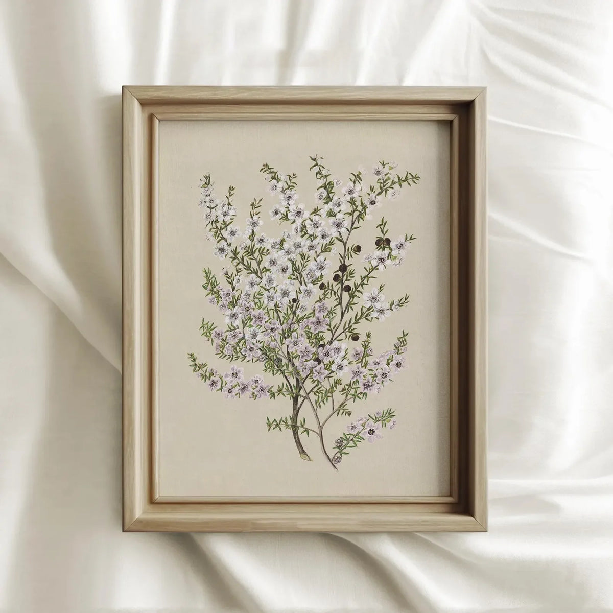 Vintage Botanical Floral Wall Art | Set of 2 Canvas Posters