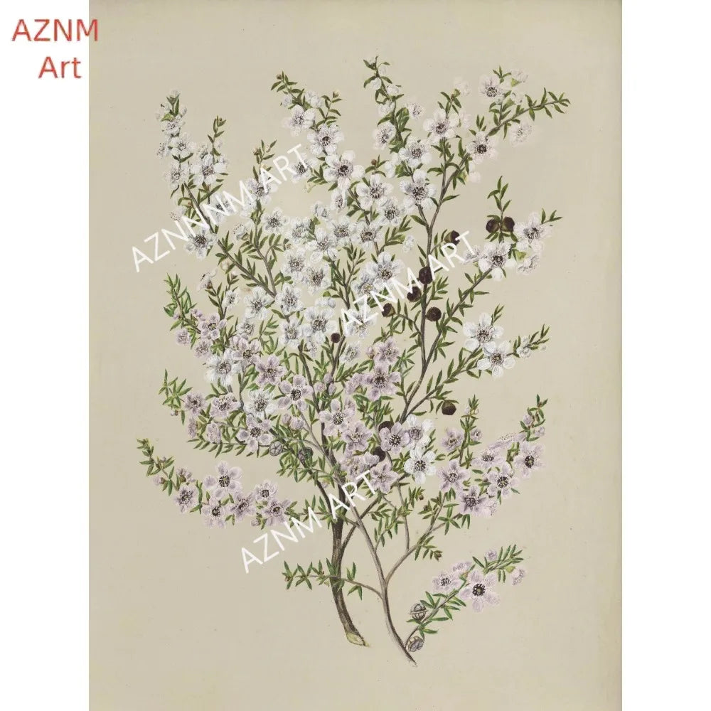 Vintage Botanical Floral Wall Art | Gallery Canvas Print Set