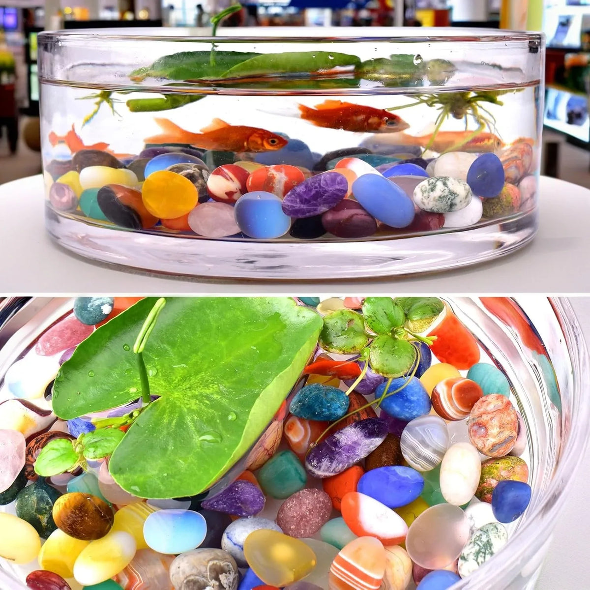 Polished Tumbled Crystal Stone Set | 50 Hand-Selected Mixed Healing Stones