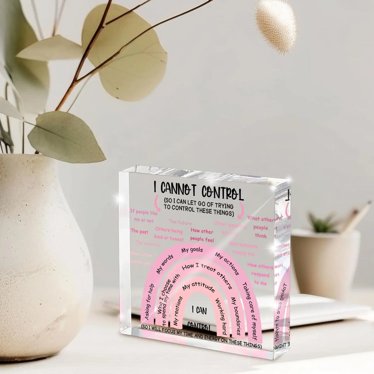 I Can Control Acrylic Sign | 4x4 Pink Mental Health Desk Decor for Women