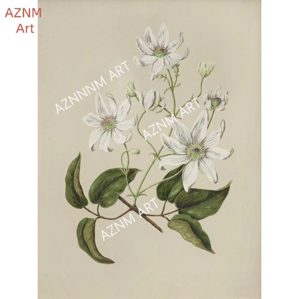 Vintage Botanical Floral Wall Art | Gallery Canvas Print Set