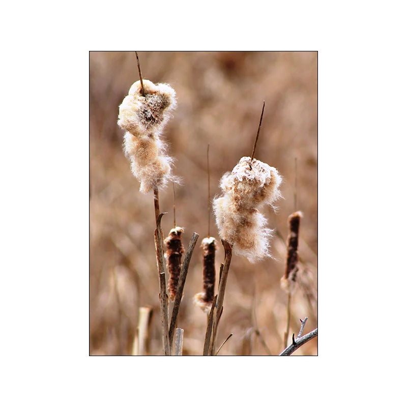 Botanical Landscape Canvas Print | Modern Wall Art for Living Room & Home Décor