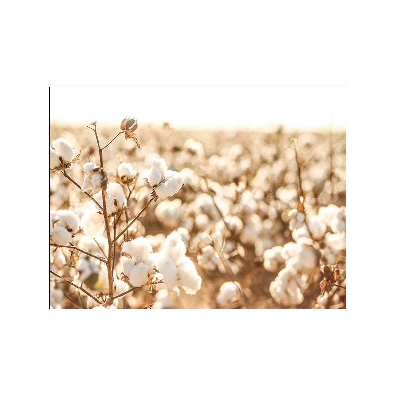 Botanical Landscape Canvas Print | Modern Wall Art for Living Room & Home Décor