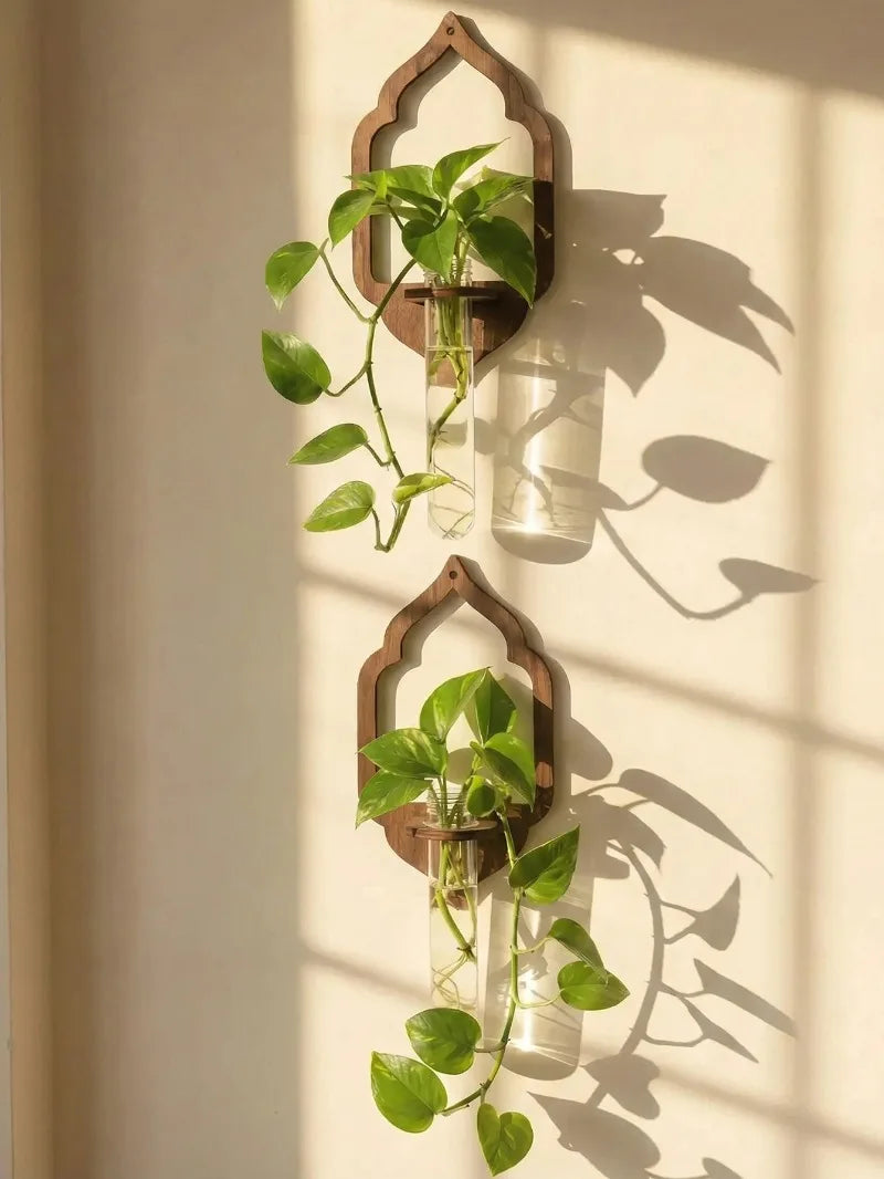 Wooden Wall Propagation Station | Sun, Jellyfish & Lantern