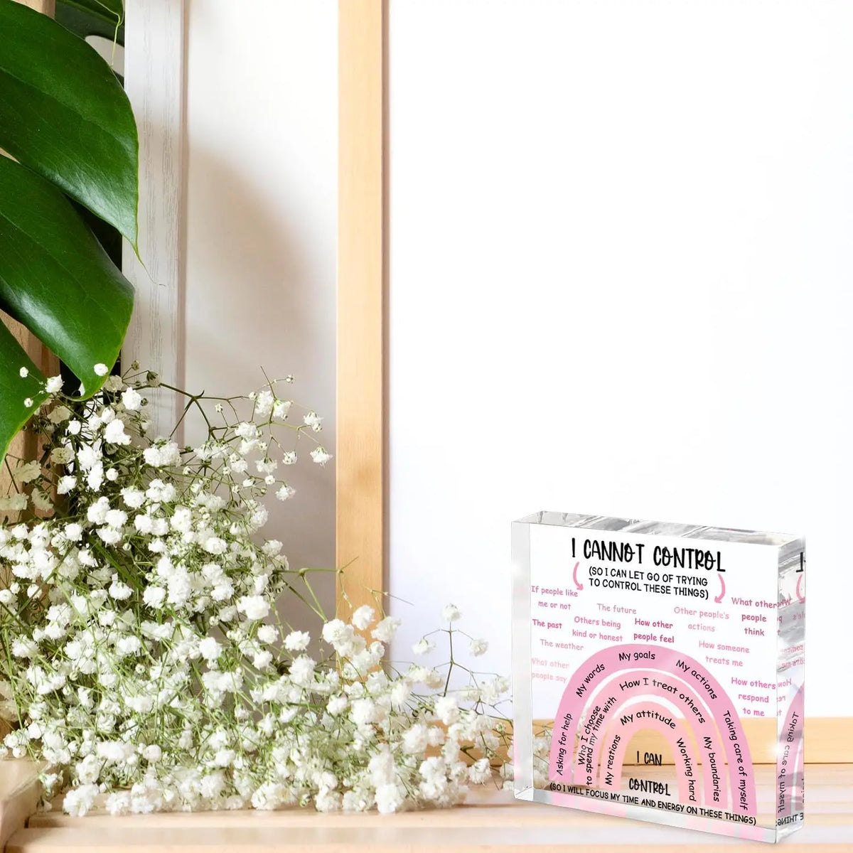 I Can Control Acrylic Sign | 4x4 Pink Mental Health Desk Decor for Women
