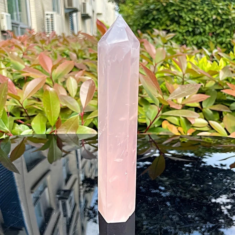 Natural Rose Quartz Crystal Tower — 6" Hexagonal Point