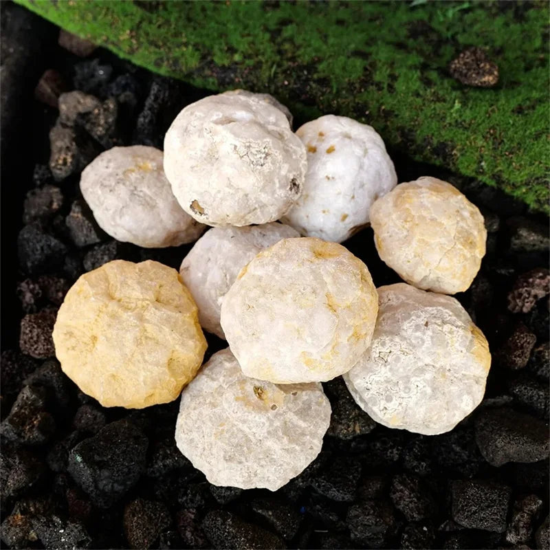 Natural Unopened Agate Geode | Raw Crystal Surprise — Break It Open!