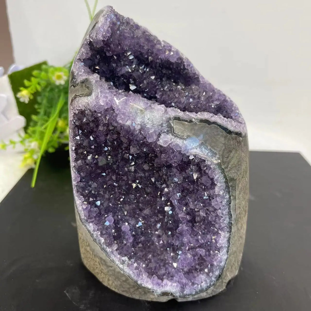 Natural Amethyst Crystal Cluster Geode | Raw Quartz Chakra & Reiki Stone