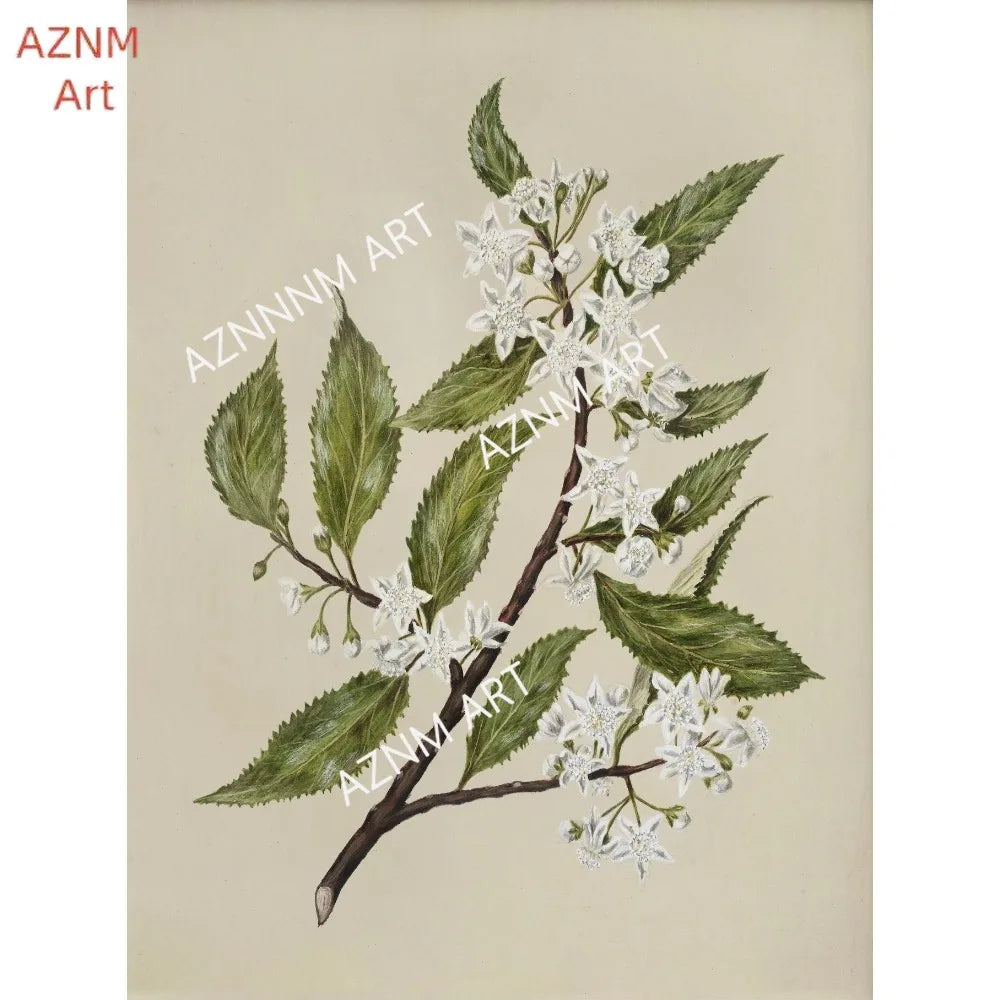 Vintage Botanical Floral Wall Art | Gallery Canvas Print Set