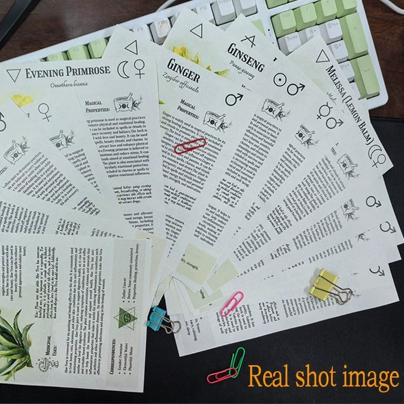 Herbal Remedies Wellness Book | Beginner's Guide from Garden to Apothecary