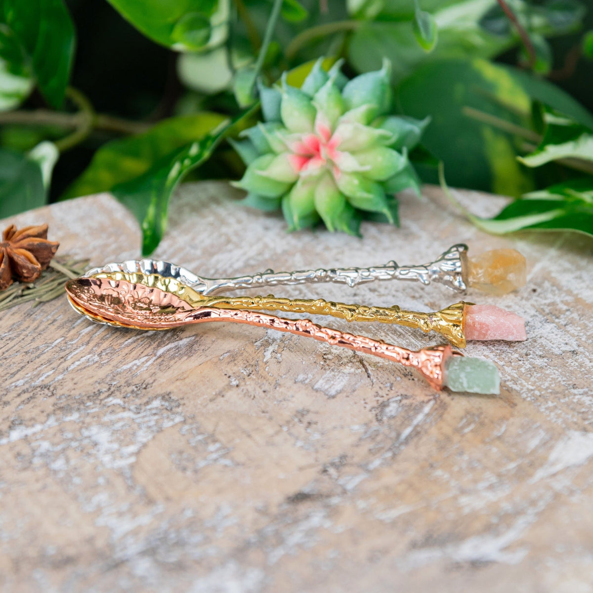 Witch Herb Spoon