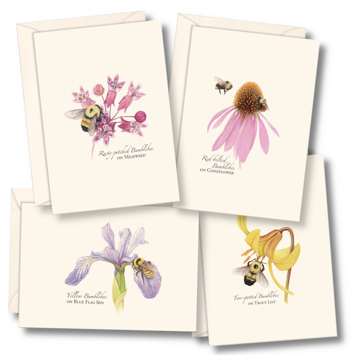 Bumblebee Assortment Notecard Set