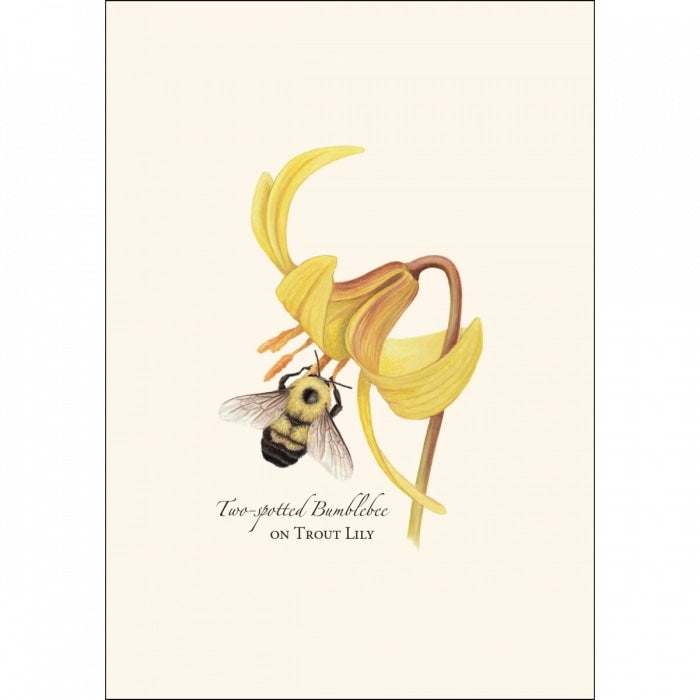 Bumblebee Assortment Notecard Set