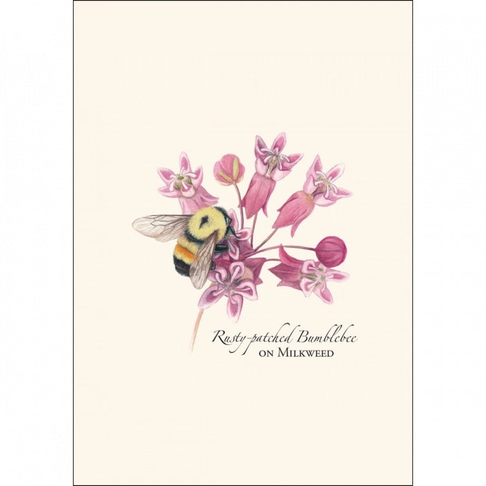 Bumblebee Assortment Notecard Set