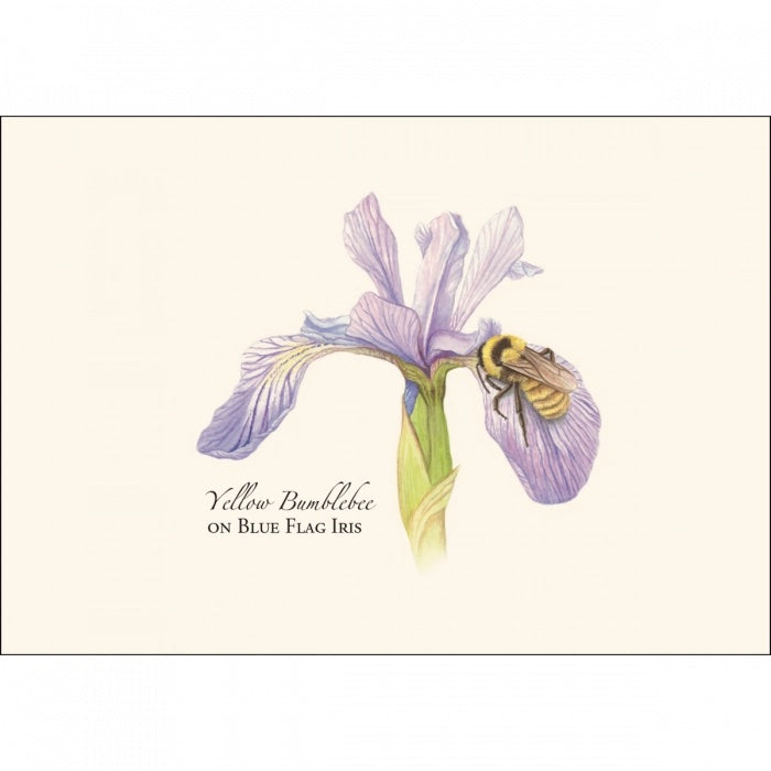 Bumblebee Assortment Notecard Set
