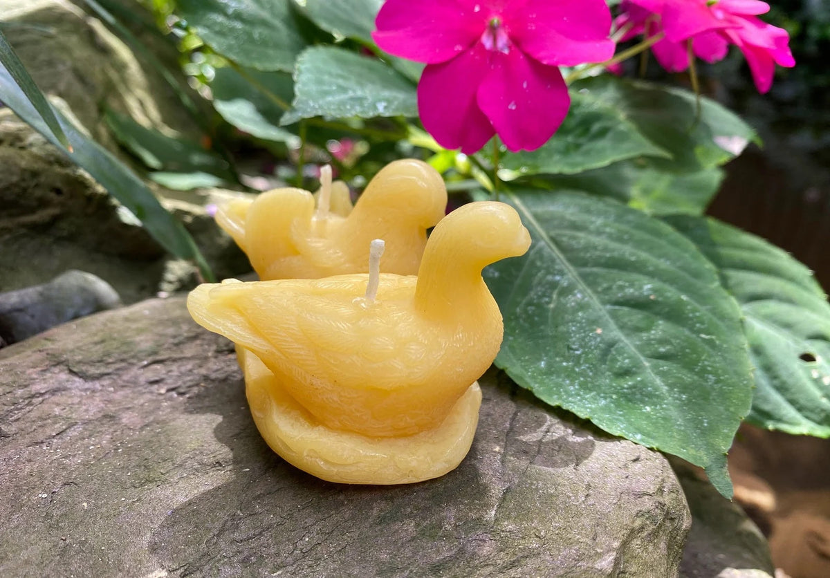 Doves Beeswax Candle