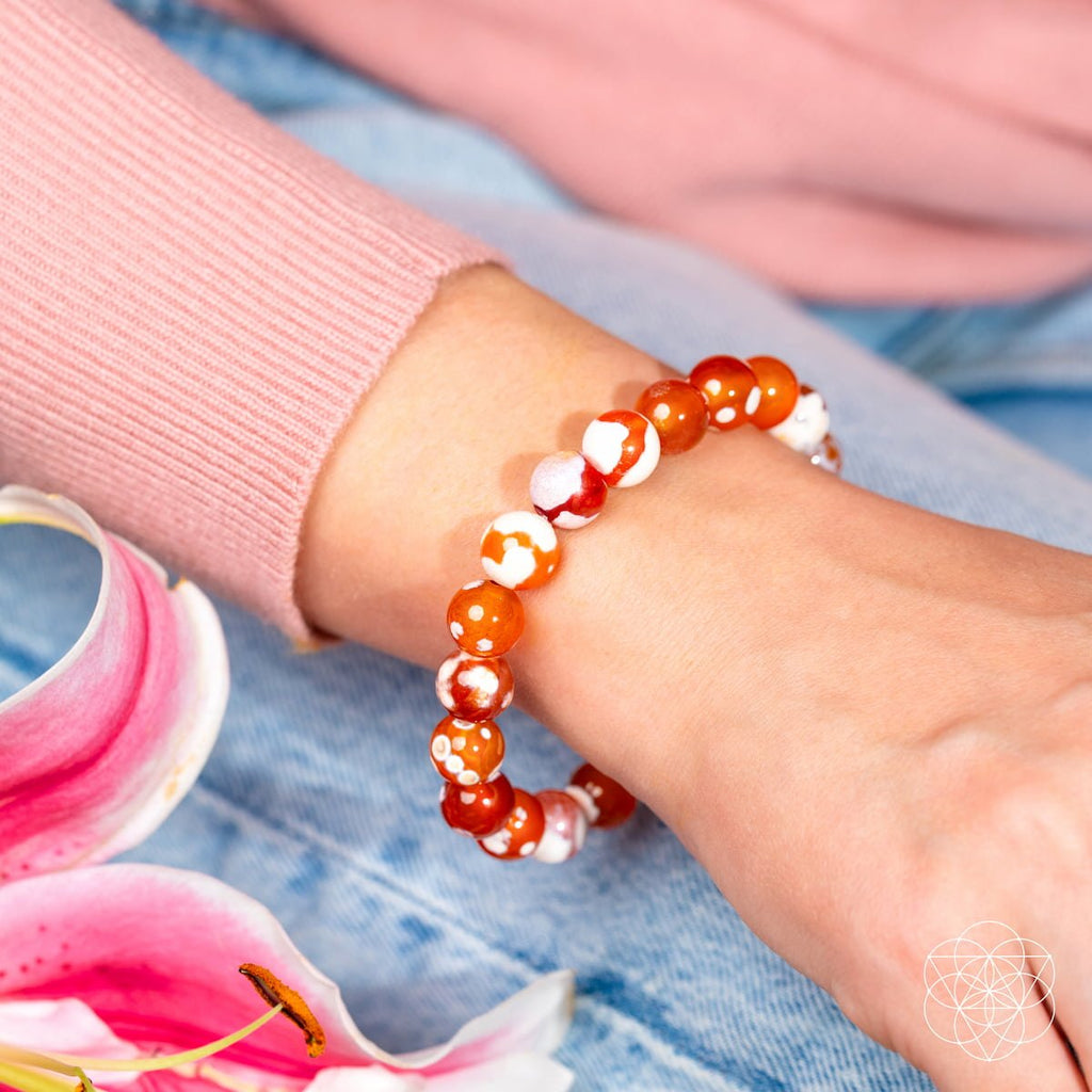 Carnelian Orca Agate Bracelet | Feminine Force