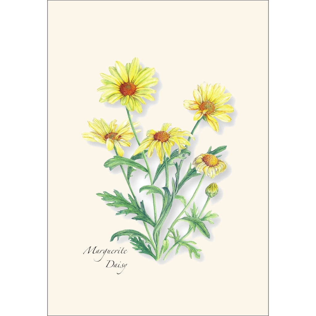 Garden Favorites Assortment Greeting Cards