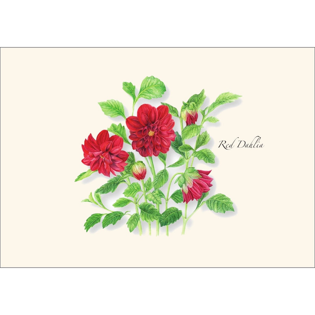 Garden Favorites Assortment Greeting Cards