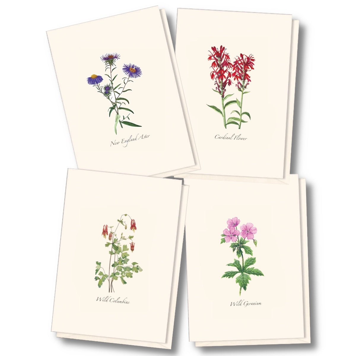 Meadow Wildflower Assortment Greeting Cards