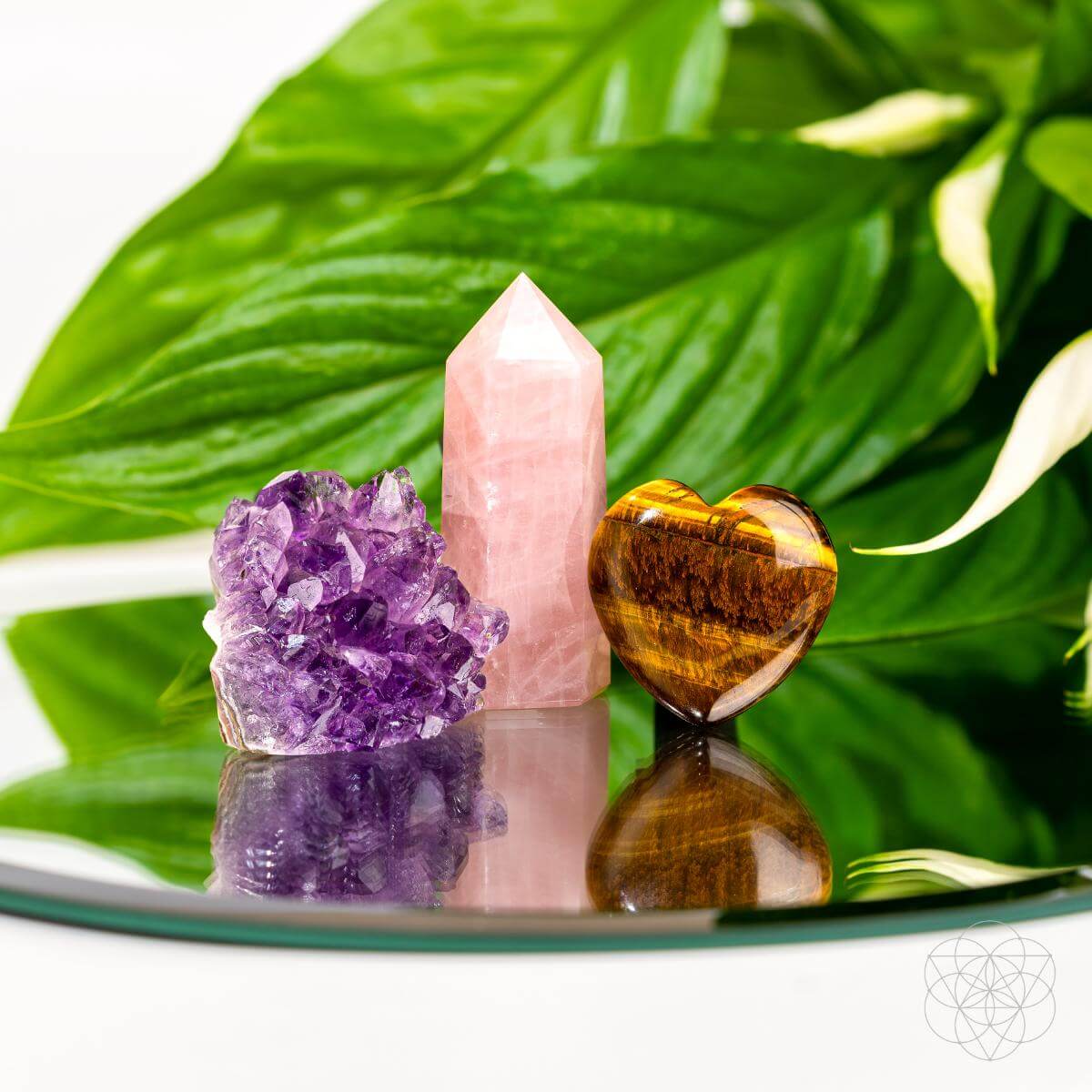 Mindful Moments Crystal Car Vent Clip Set | Amethyst & Tiger’s Eye