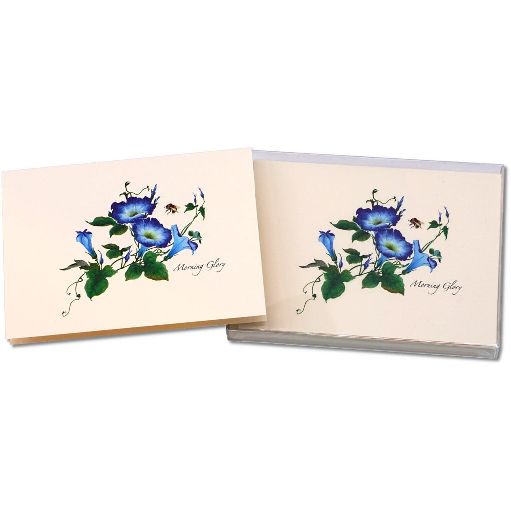 Morning Glories Greeting Card