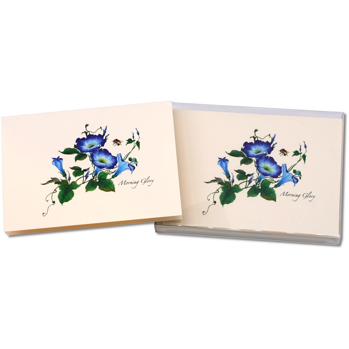 Morning Glories Greeting Card