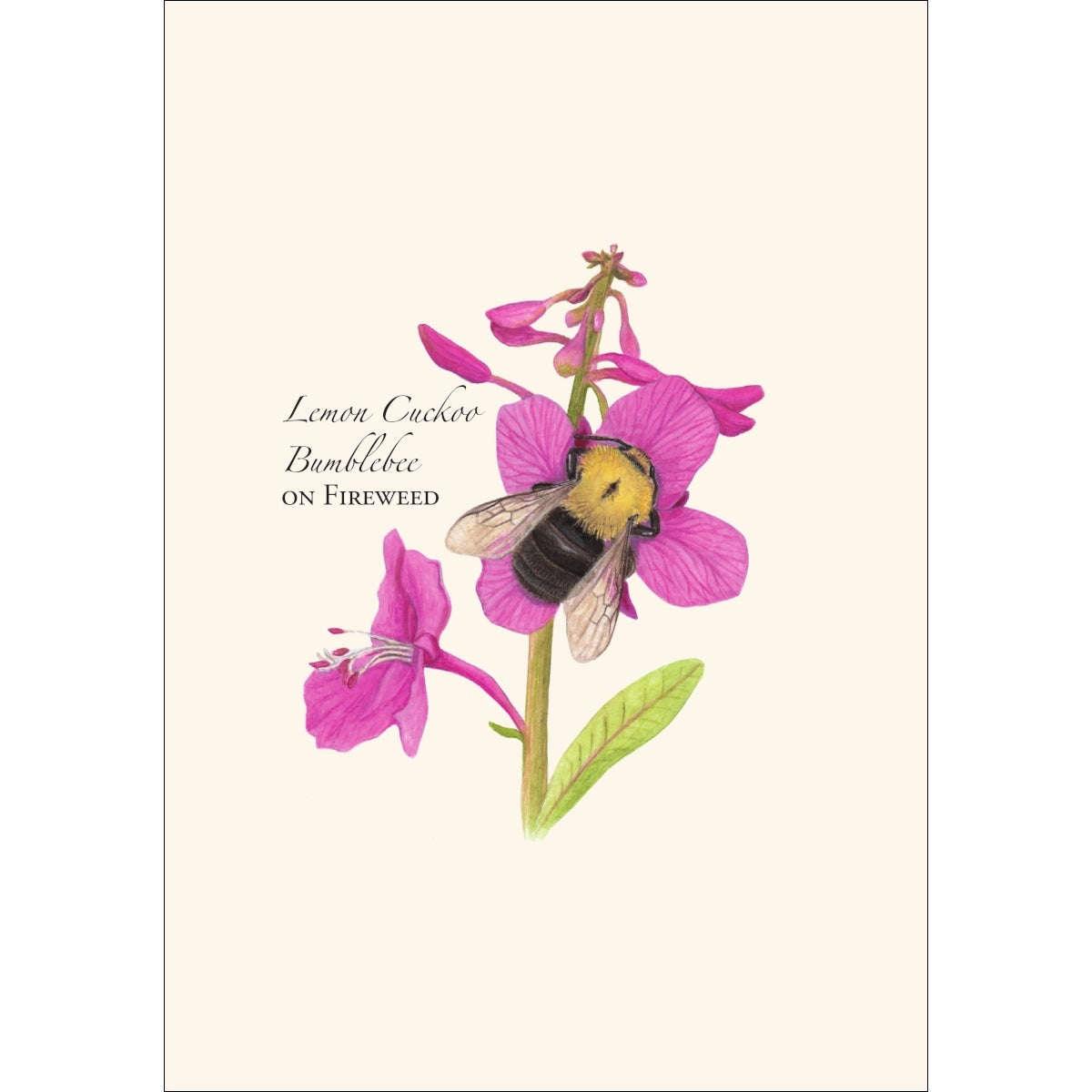 Spring Bee Assortment Greeting Cards