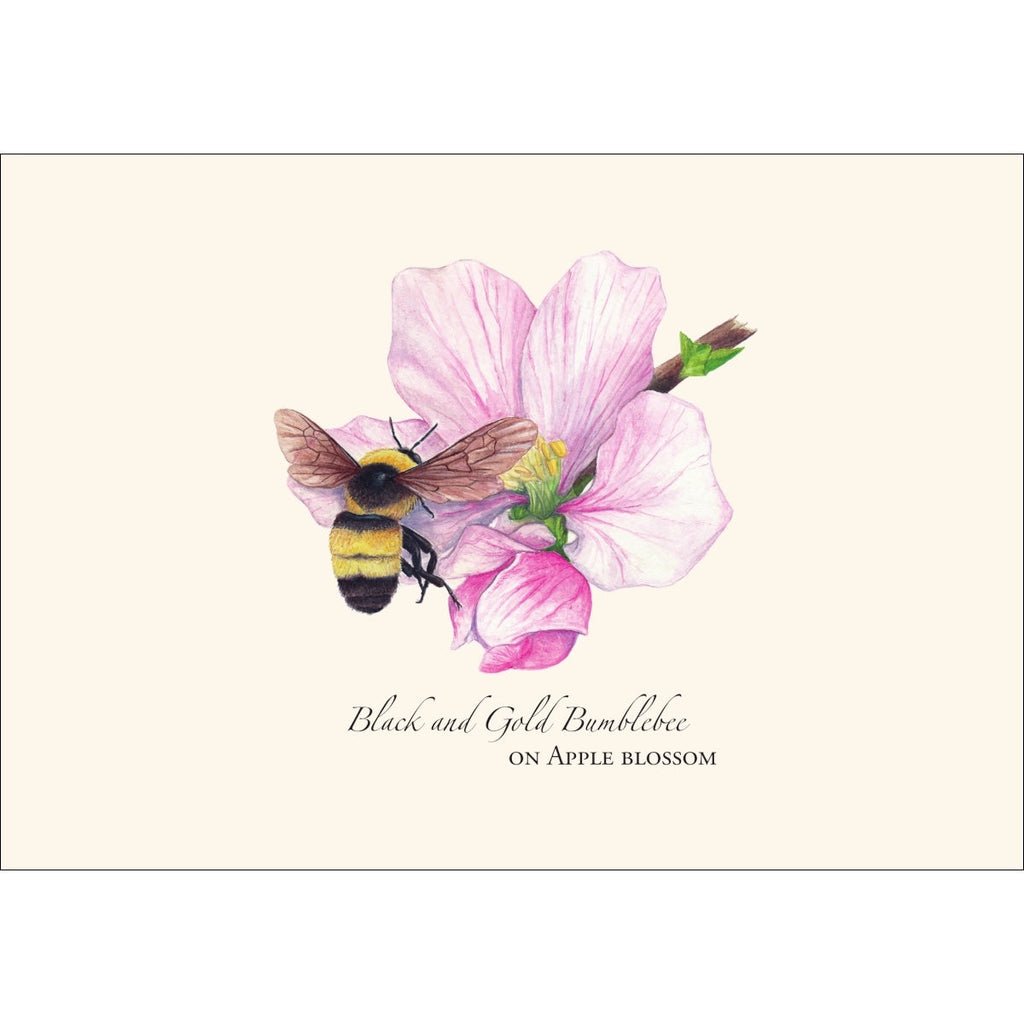 Spring Bee Assortment Greeting Cards